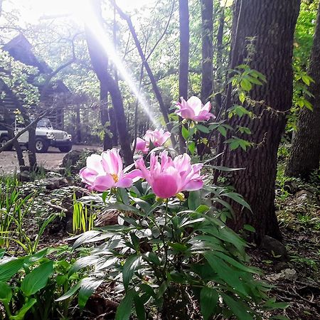 Cherokee Mountain Log Cabins 尤里卡斯普林斯 外观 照片