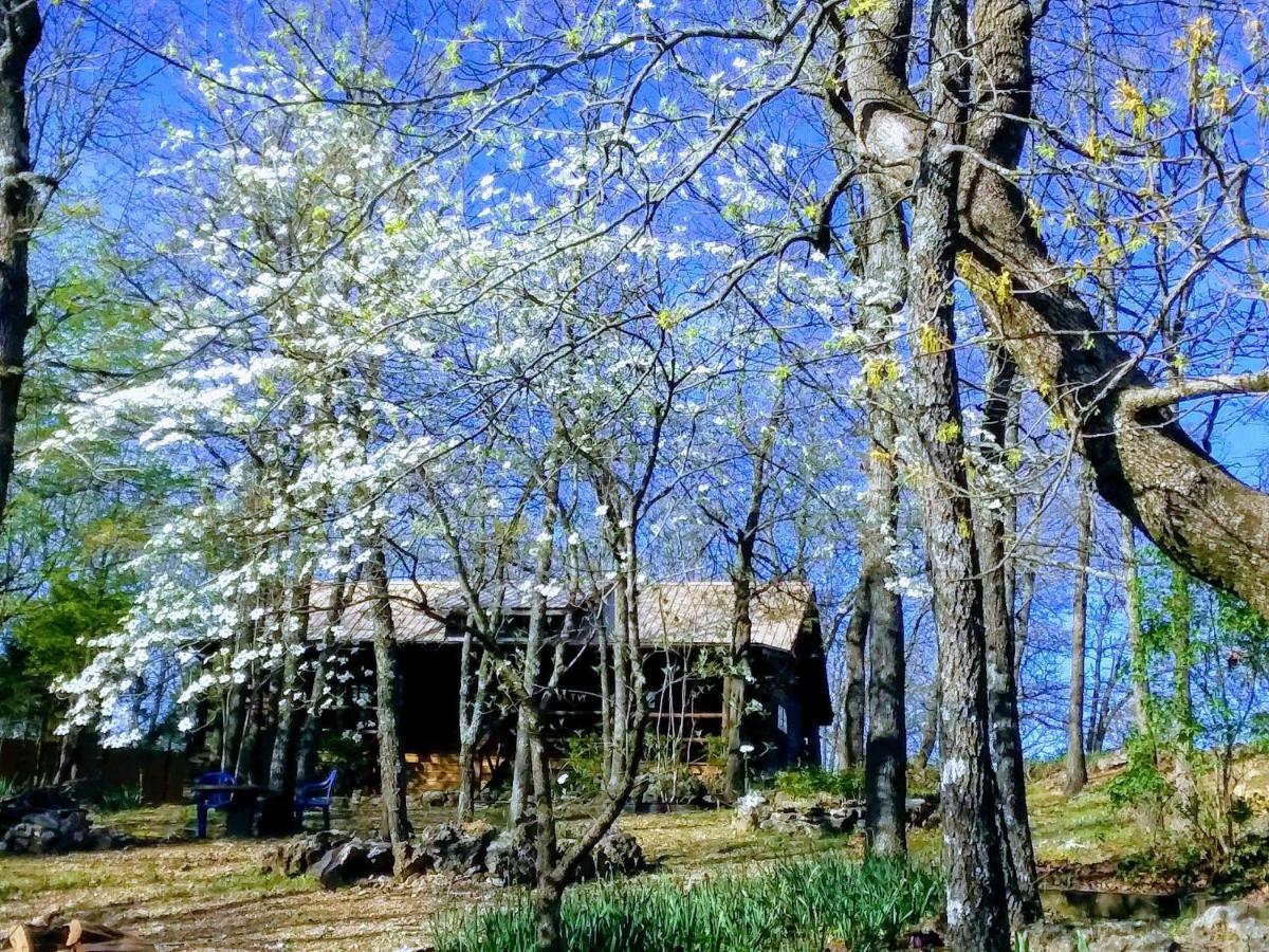 Cherokee Mountain Log Cabins 尤里卡斯普林斯 外观 照片