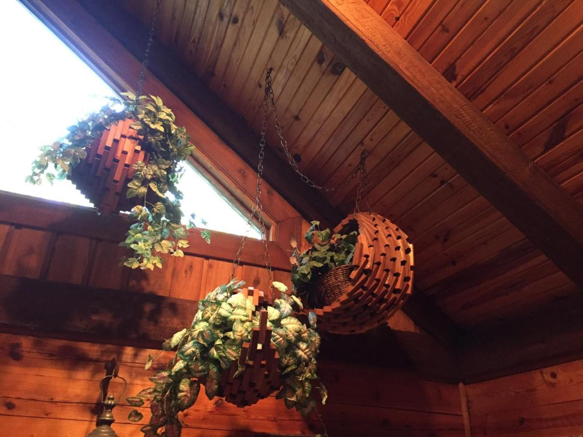 Cherokee Mountain Log Cabins 尤里卡斯普林斯 外观 照片