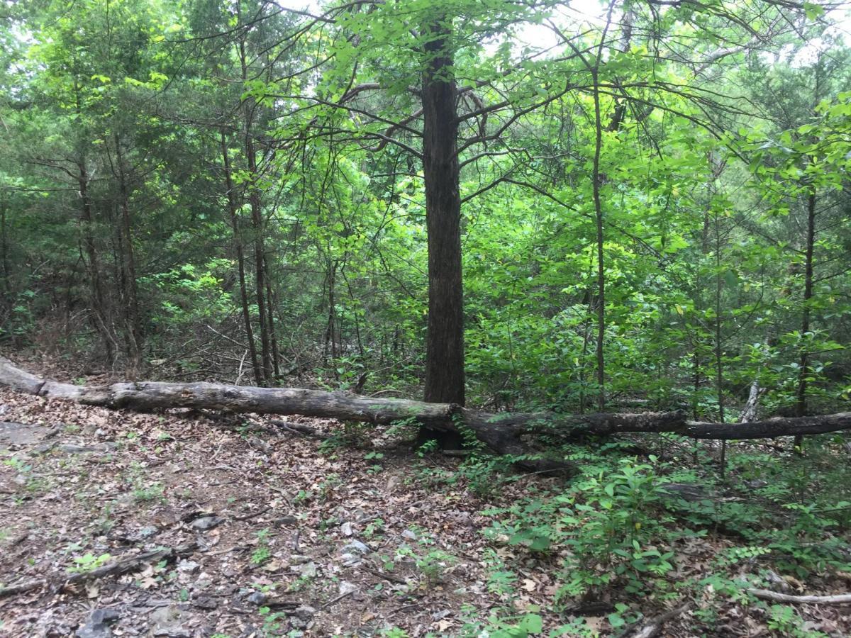 Cherokee Mountain Log Cabins 尤里卡斯普林斯 外观 照片