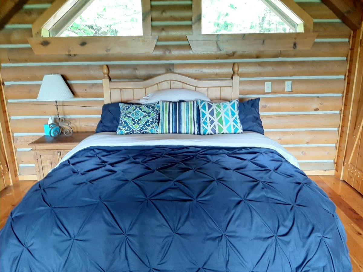 Cherokee Mountain Log Cabins 尤里卡斯普林斯 外观 照片